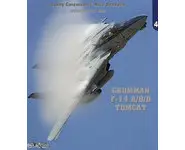 Uncovering the Grumman F-14 A / B & D