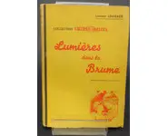 Lumières dans la Brume