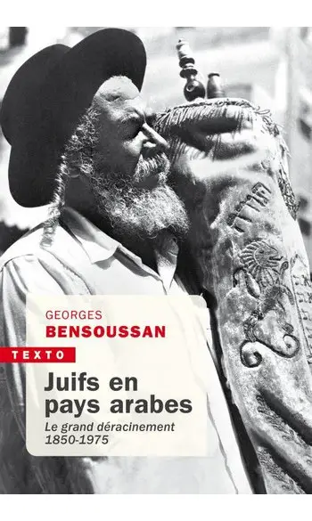 Juifs en pays arabes