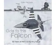 Ode to the Falcon