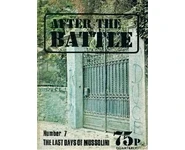 After the Battle n°7