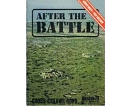 After the Battle n°29